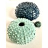 MER 09/07 - ATELIER POTERIE AU TOUR - LE VASE OURSIN
