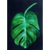 JEU 24/07 - ATELIER PASTELS SECS FLORE TROPICALE " JUNGLE & MONTSERA"